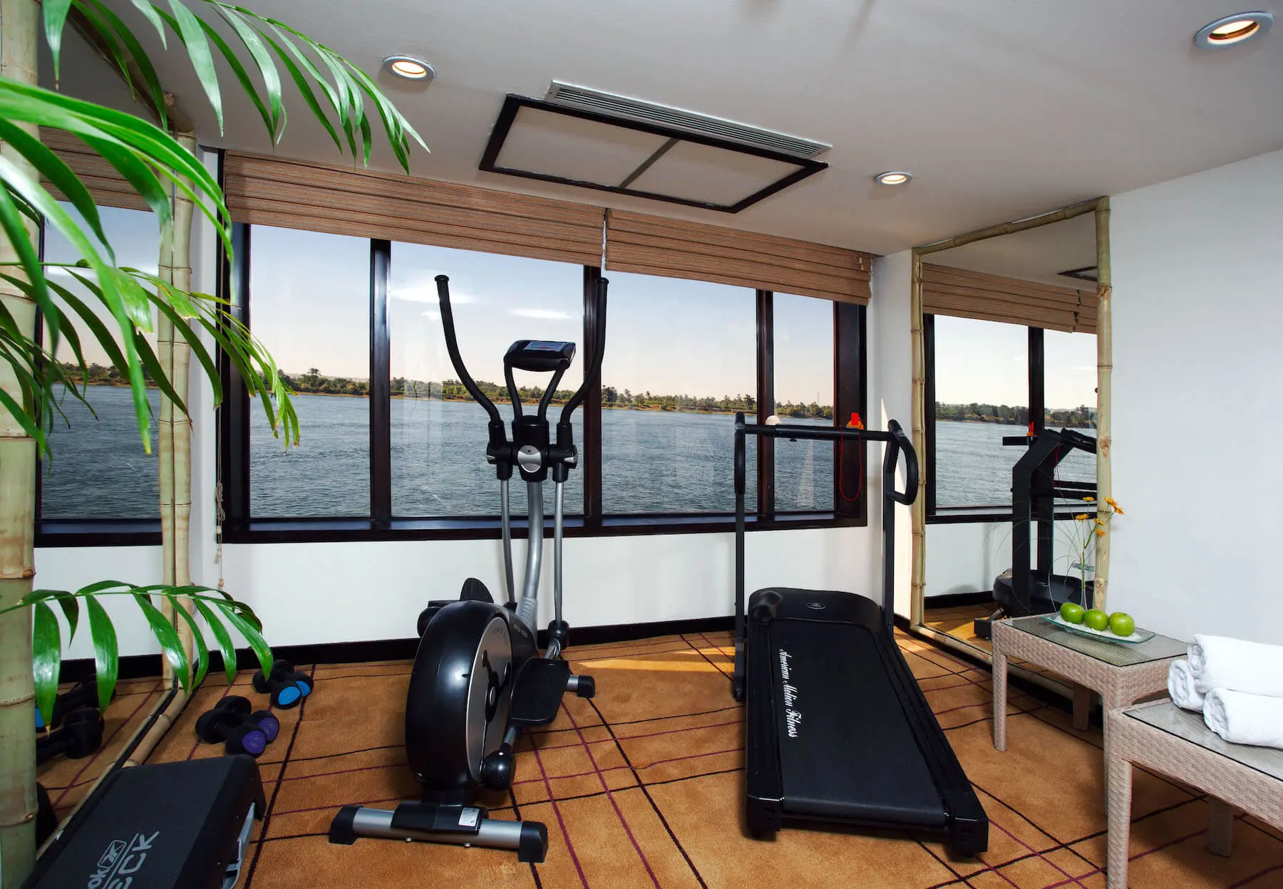Gym & Spa