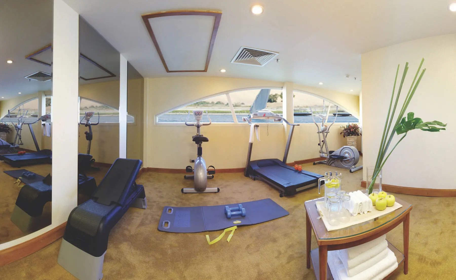 Gym & Massage