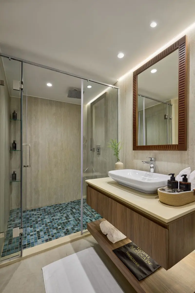 Deluxe Suite - View 4